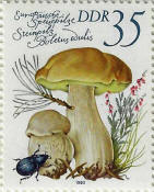 stamp