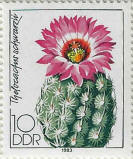 Click to Enlarge stamp