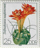Click to Enlarge stamp