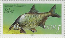 Click to Enlarge stamp
