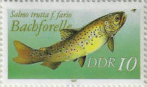Click to Enlarge stamp