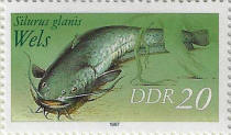 Click to Enlarge stamp