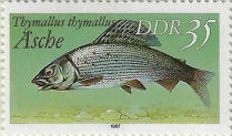 Click to Enlarge stamp