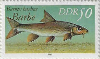 Click to Enlarge stamp