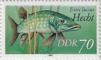 Click to Enlarge stamp