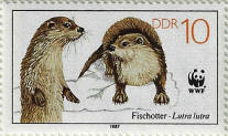 Click to Enlarge stamp