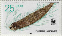 Click to Enlarge stamp