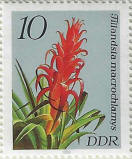 Click to Enlarge stamp