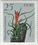 Click to Enlarge stamp