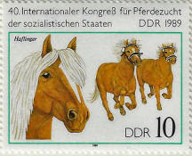 Click to Enlarge stamp