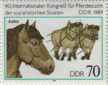 Click to Enlarge stamp