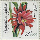 Click to Enlarge stamp