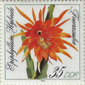 Click to Enlarge stamp