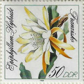 Click to Enlarge stamp