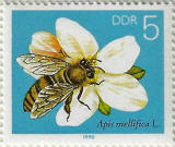 Click to Enlarge stamp