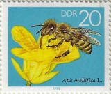 Click to Enlarge stamp