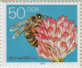 Click to Enlarge stamp