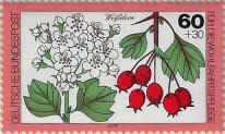 Click to Enlarge stamp