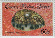 stamp