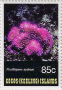 stamp