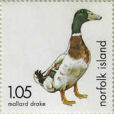 stamp